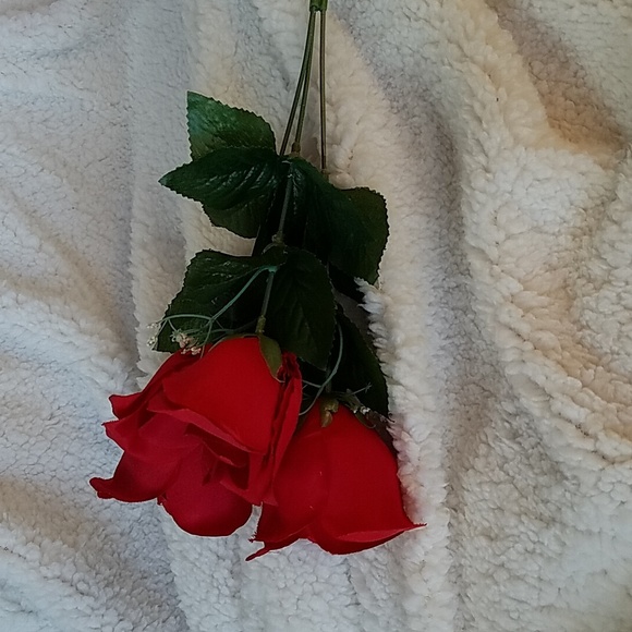 3 LONG STEM ROSES - Picture 3 of 5